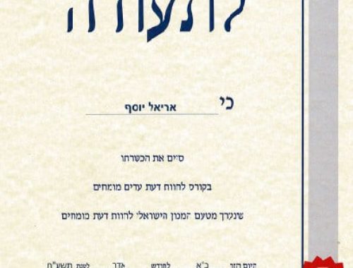 הסמכה כעד מומחה